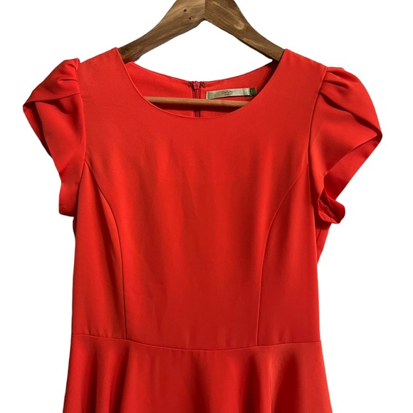 Daphne Young Fit and Flare Dress - Picture 4 of 8